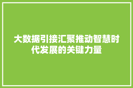 大数据引接汇聚推动智慧时代发展的关键力量