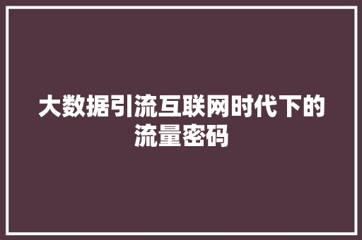大数据引流互联网时代下的流量密码  第1张