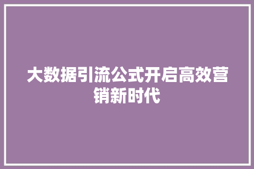 大数据引流公式开启高效营销新时代  第1张