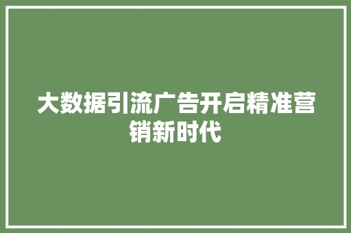 大数据引流广告开启精准营销新时代