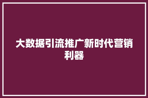 大数据引流推广新时代营销利器