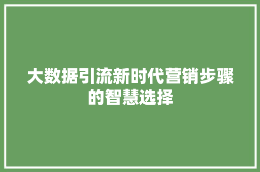 大数据引流新时代营销步骤的智慧选择