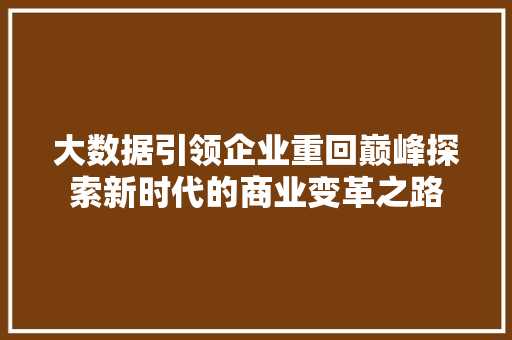 大数据引领企业重回巅峰探索新时代的商业变革之路