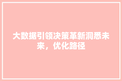 大数据引领决策革新洞悉未来，优化路径