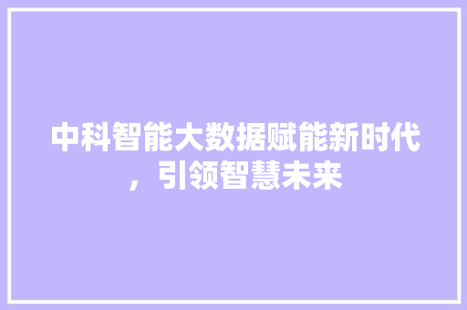 中科智能大数据赋能新时代，引领智慧未来