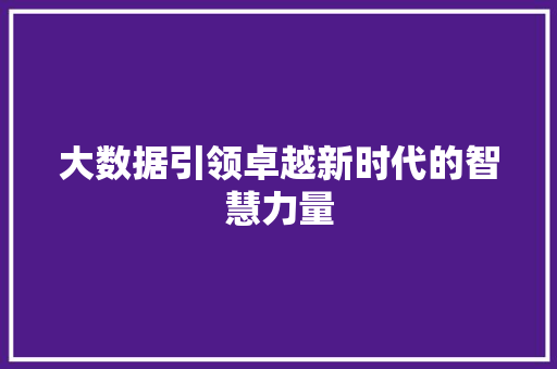 大数据引领卓越新时代的智慧力量