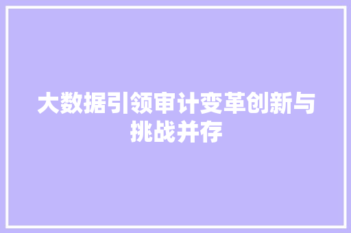 大数据引领审计变革创新与挑战并存