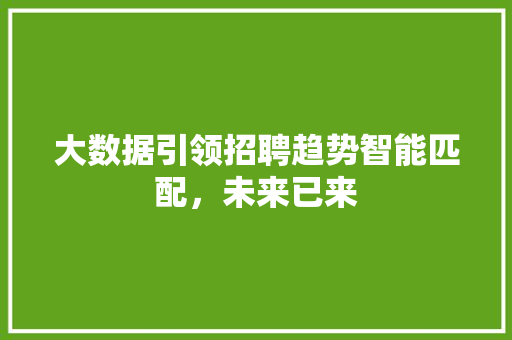 大数据引领招聘趋势智能匹配，未来已来
