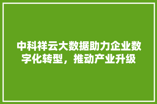 中科祥云大数据助力企业数字化转型，推动产业升级