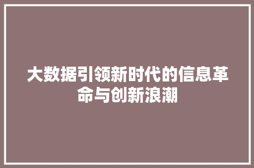 大数据引领新时代的信息革命与创新浪潮
