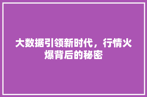 大数据引领新时代，行情火爆背后的秘密