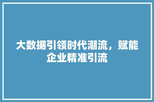 大数据引领时代潮流，赋能企业精准引流  第1张