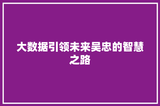 大数据引领未来吴忠的智慧之路