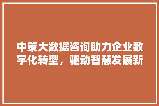 中策大数据咨询助力企业数字化转型，驱动智慧发展新引擎