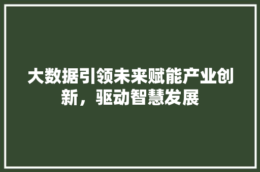 大数据引领未来赋能产业创新，驱动智慧发展  第1张