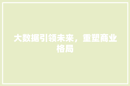 大数据引领未来，重塑商业格局