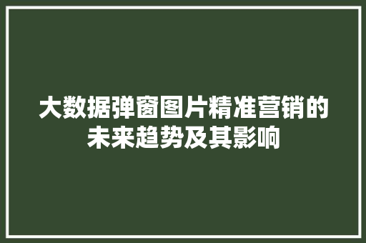 大数据弹窗图片精准营销的未来趋势及其影响  第1张