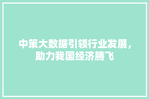 中策大数据引领行业发展，助力我国经济腾飞