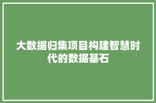 大数据归集项目构建智慧时代的数据基石  第1张