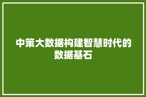 中策大数据构建智慧时代的数据基石
