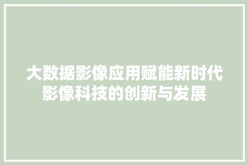 大数据影像应用赋能新时代影像科技的创新与发展