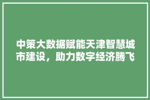 中策大数据赋能天津智慧城市建设，助力数字经济腾飞