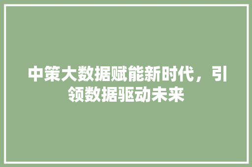 中策大数据赋能新时代，引领数据驱动未来