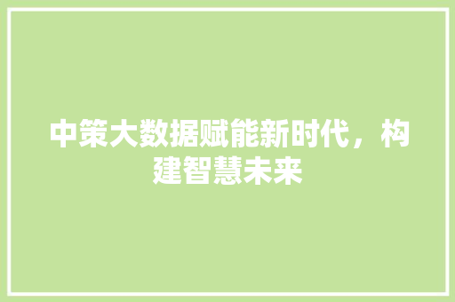 中策大数据赋能新时代，构建智慧未来