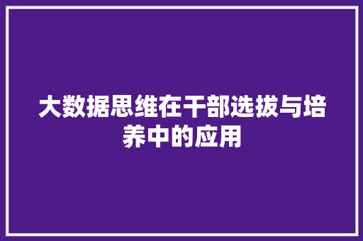 大数据思维在干部选拔与培养中的应用