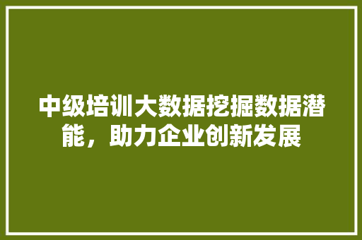 中级培训大数据挖掘数据潜能，助力企业创新发展