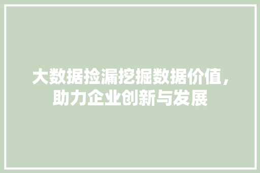 大数据捡漏挖掘数据价值，助力企业创新与发展  第1张