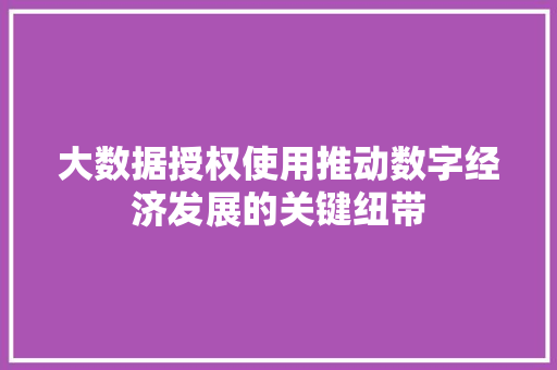 大数据授权使用推动数字经济发展的关键纽带  第1张