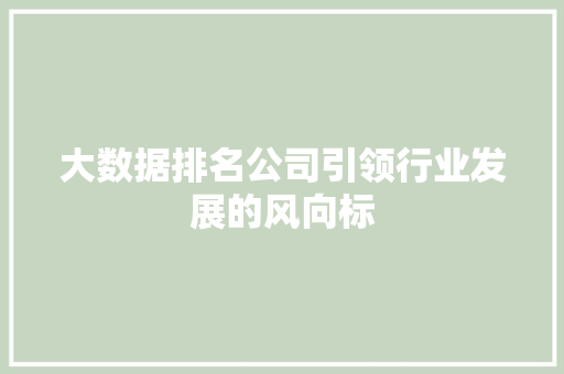 大数据排名公司引领行业发展的风向标  第1张