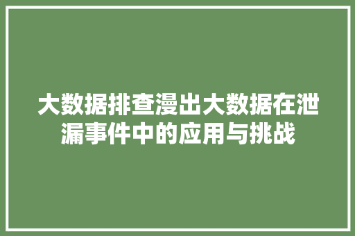 大数据排查漫出大数据在泄漏事件中的应用与挑战  第1张