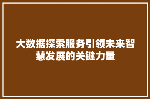 大数据探索服务引领未来智慧发展的关键力量