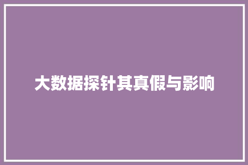 大数据探针其真假与影响  第1张