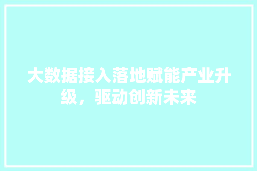 大数据接入落地赋能产业升级，驱动创新未来