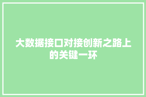 大数据接口对接创新之路上的关键一环