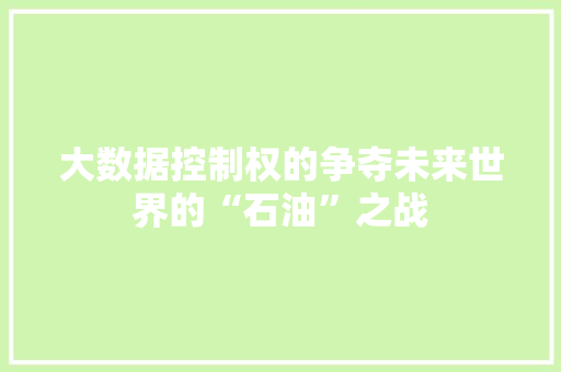 大数据控制权的争夺未来世界的“石油”之战  第1张
