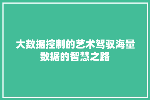 大数据控制的艺术驾驭海量数据的智慧之路