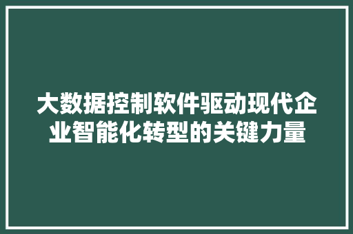 大数据控制软件驱动现代企业智能化转型的关键力量