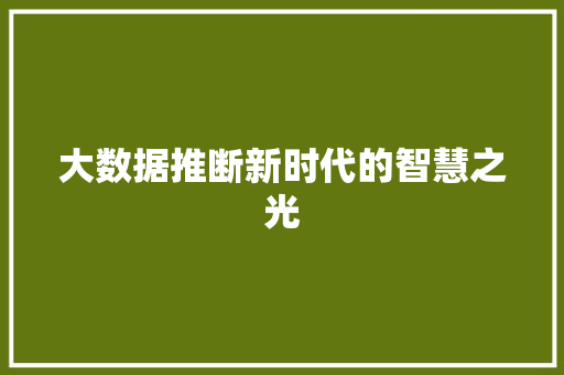 大数据推断新时代的智慧之光