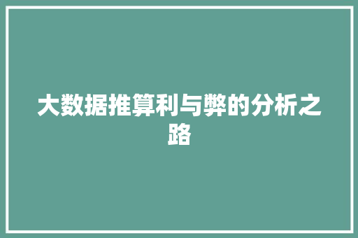 大数据推算利与弊的分析之路
