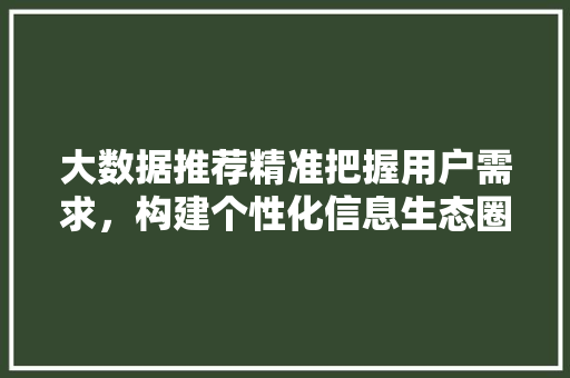 大数据推荐精准把握用户需求，构建个性化信息生态圈