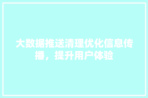 大数据推送清理优化信息传播，提升用户体验