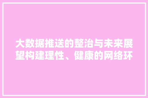 大数据推送的整治与未来展望构建理性、健康的网络环境
