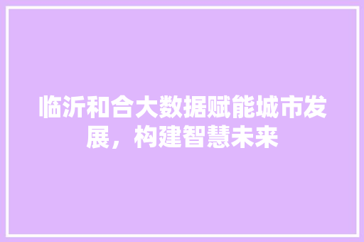 临沂和合大数据赋能城市发展，构建智慧未来