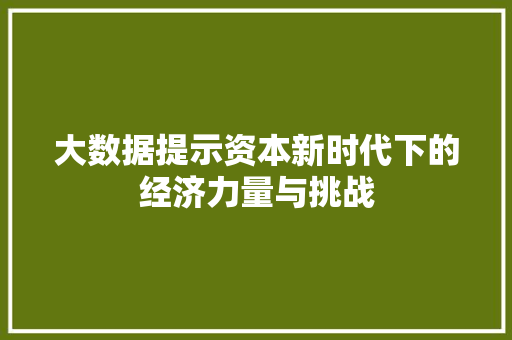 大数据提示资本新时代下的经济力量与挑战  第1张