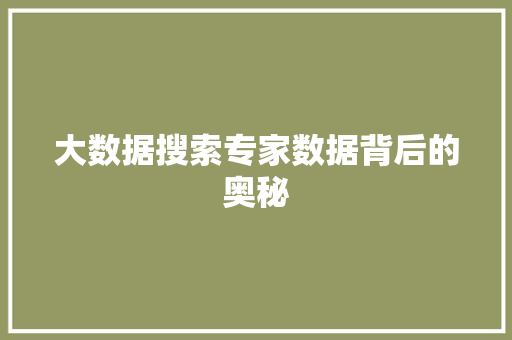 大数据搜索专家数据背后的奥秘