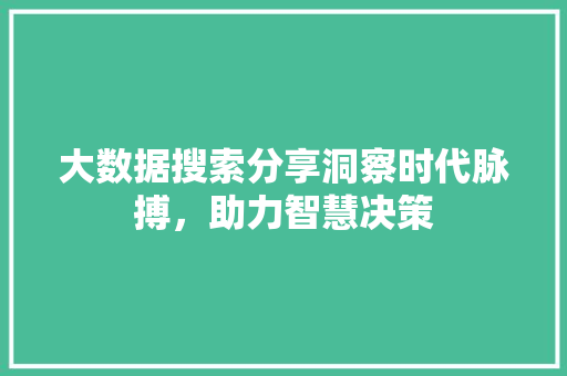 大数据搜索分享洞察时代脉搏，助力智慧决策